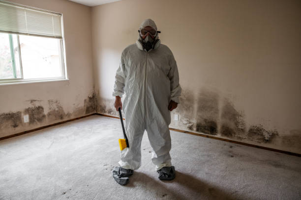 Best Certified Mold Removal  in Webster City, IA